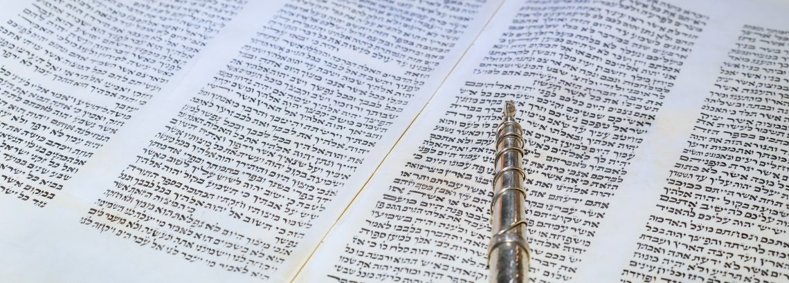 התחום התורני